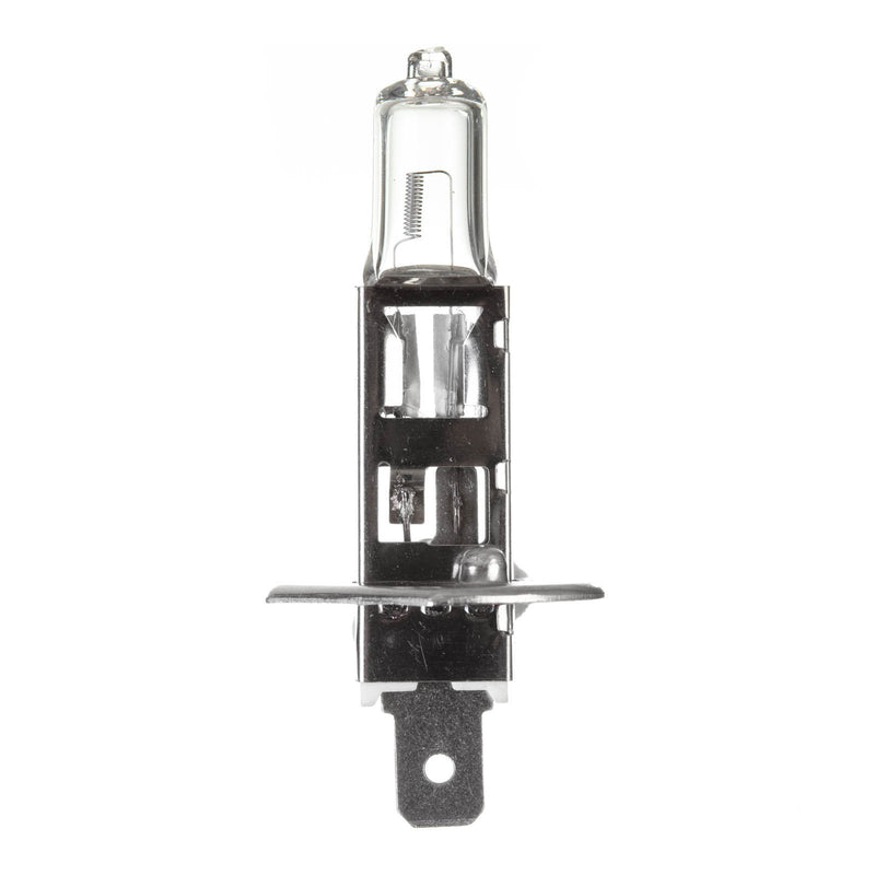 Whites Bulb 12V 55W H/l H1 Halogen Each