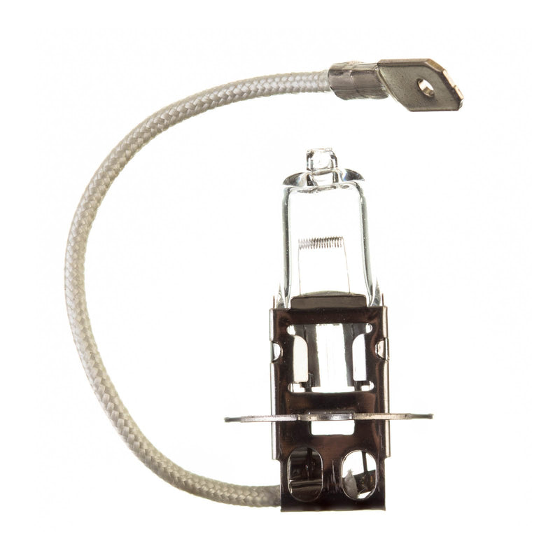 Whites Bulb 12V 55W H/l H3 Halogen Each