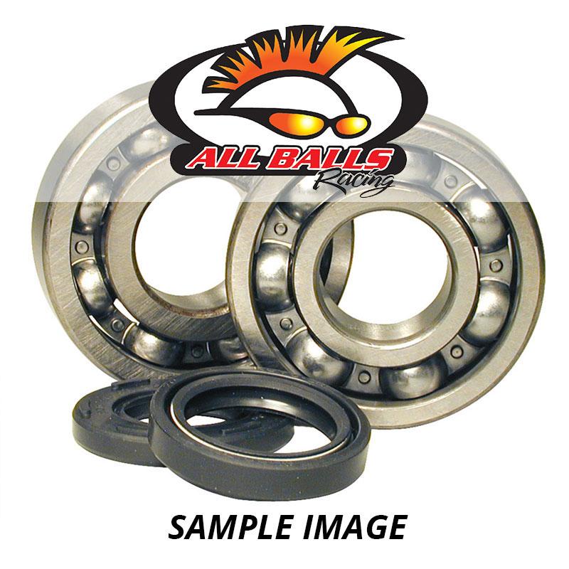 ENGINE MAIN BRG KIT TRX250X 87-92 - NLA