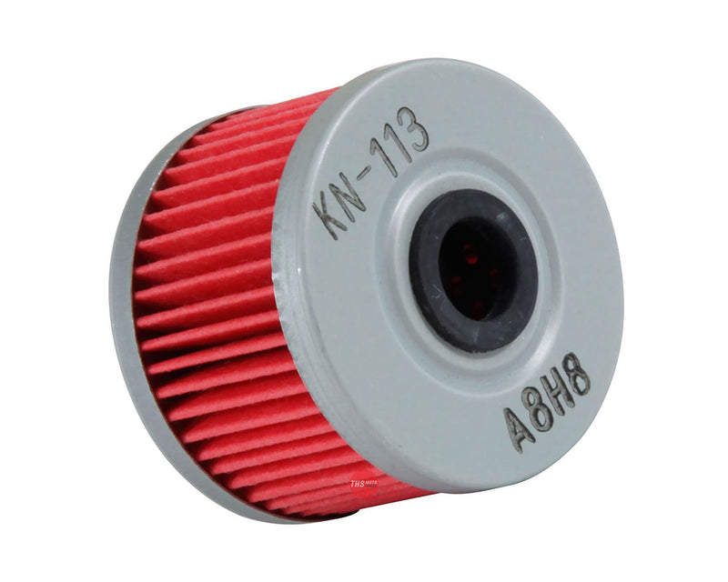 K&N Oil Filter (HF113)