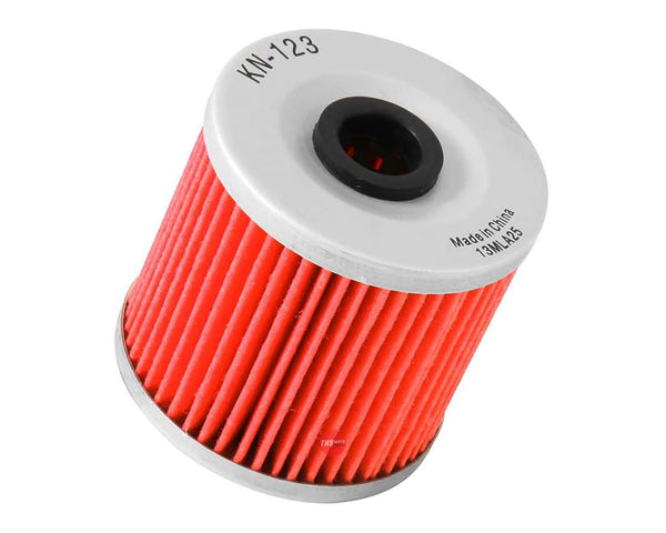 K&N Oil Filter (HF123)