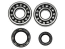 Psychic Mx Crank Bearings Kit Revolve Tpi Same As Hot Rods Honda Cr125R 90-07