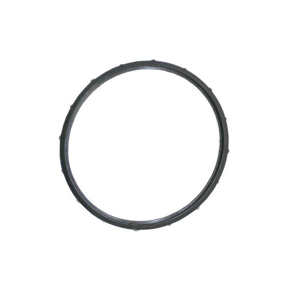 Quantum Fuel Systems Pump Tank Seal Gasket