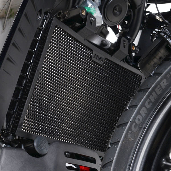 R&G Radiator Guard Black HD Pan America 1250 21-