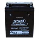 SSB Battery (YB12A-A) AGM 12V 12Ah 250CCA High Performance