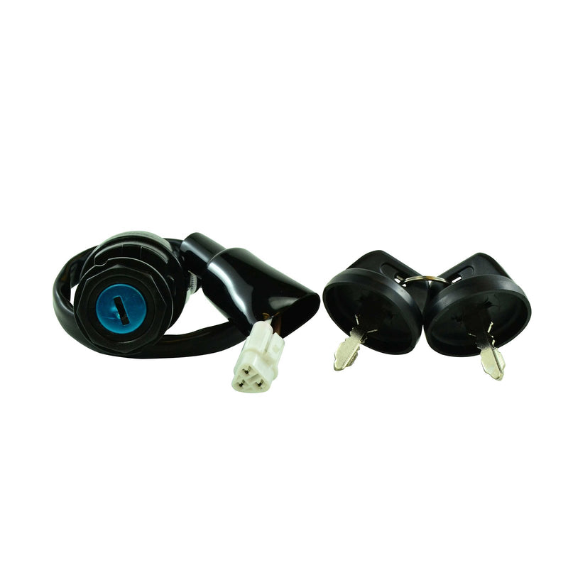 IGN KEY SWITCH ASSTD KAW RFR FITMENTS (RMS110-104616)