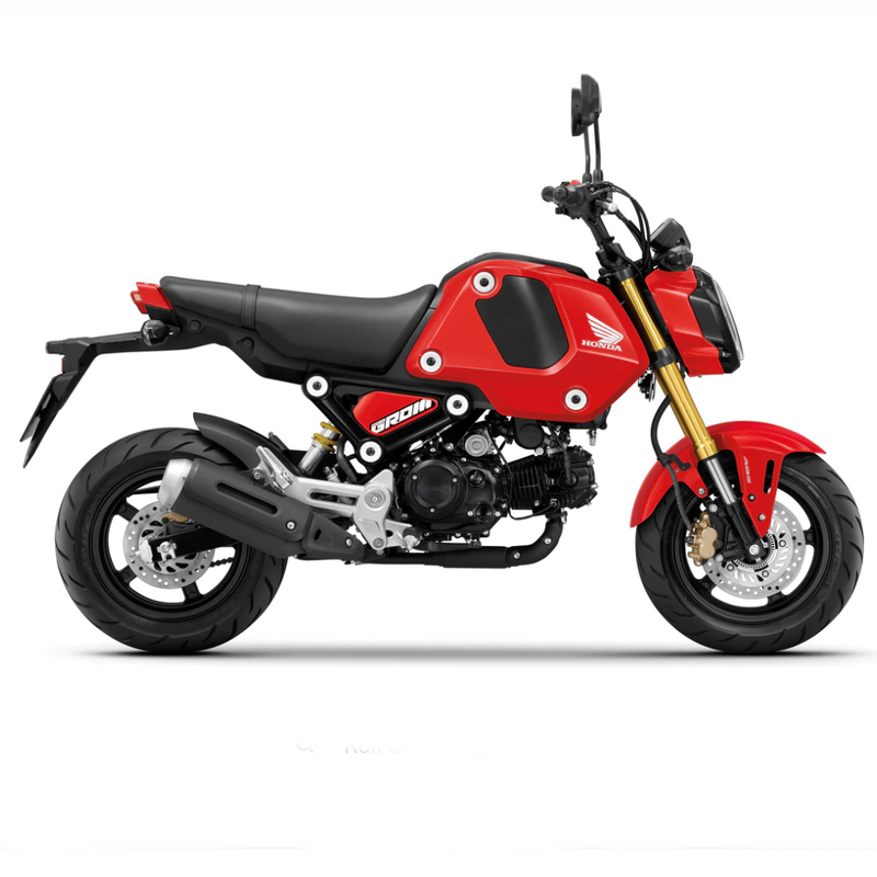 Honda MSX125 GROM THS Moto NZ