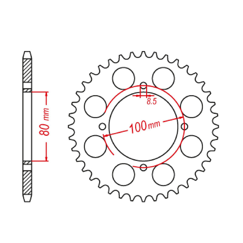 SPKT REAR OE STEEL 819/2 43T