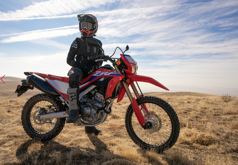 Honda CRF300L