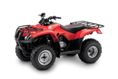 Honda TRX250TM