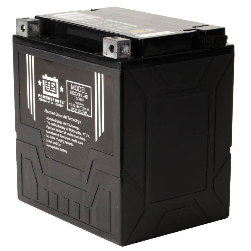 USPS AGM BATTERY USX30HL-HD   YIX30L-BS  *2