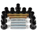 Whites Rear Independent Suspension Kit