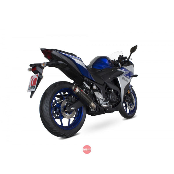 Yamaha YZF R3 Exhaust Slip On RP1-GP Carbon Fibre