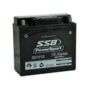 SSB Battery (Y51913) AGM 12V 19Ah 320CCA High Performance