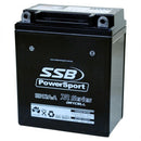 SSB Battery (YB12A-A) AGM 12V 12Ah 250CCA High Performance