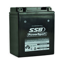 SSB Battery (YB12AL-A) AGM 12V 12Ah 250CCA High Performance