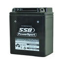 SSB Battery (YB12AL-A) AGM 12V 12Ah 250CCA High Performance