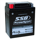 SSB Battery (YB14A-A2) AGM 12V 12Ah 310CCA High Performance