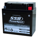 SSB Battery (YB16CL-B) AGM 12V 19Ah 385CCA High Performance