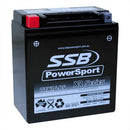 SSB Battery (YTX16-BS) AGM 12V 14Ah 340CCA High Performance