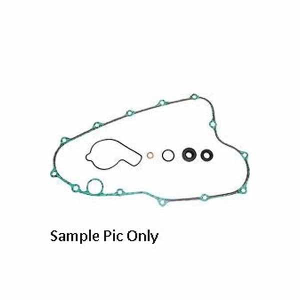 Psychic Water Pump Repair Kit includes Waterpump cover gasket Clutch